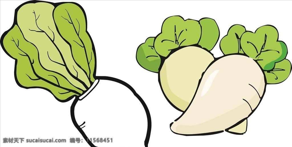 卡通白萝卜 卡通萝卜 萝卜 白萝卜 卡通植物 卡通蔬菜 卡通设计