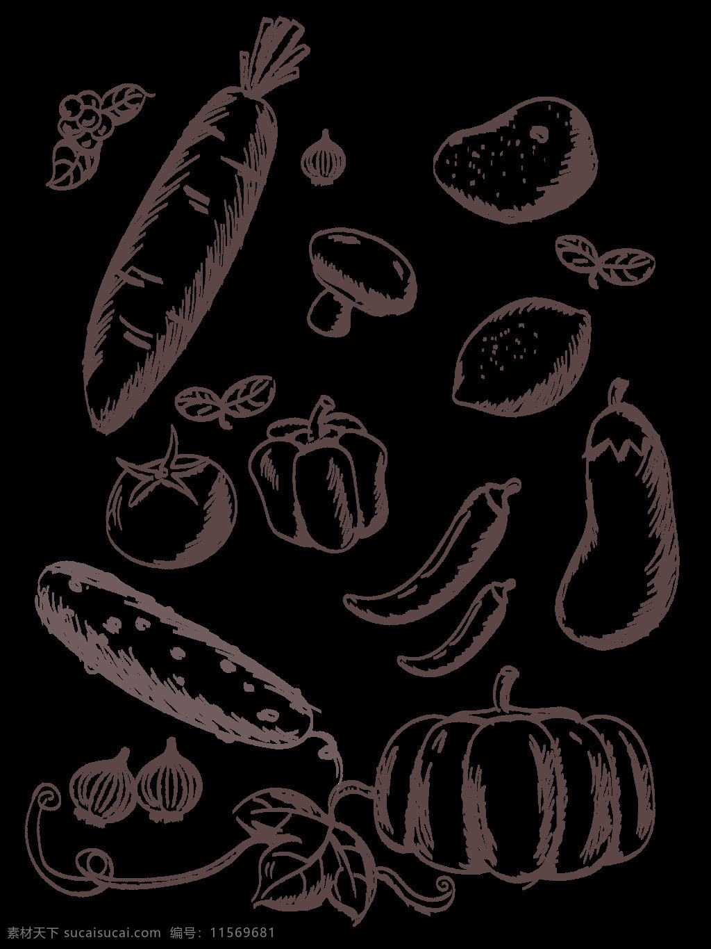 手绘 简约 素描 线条 蔬菜水果 商用 矢量 元素 黑白 蔬果 食物 是食材 饮食 海报背景 宣传素材 萝卜 土豆 蘑菇 茄子 辣椒 圆椒 番茄 南瓜 大蒜 叶子
