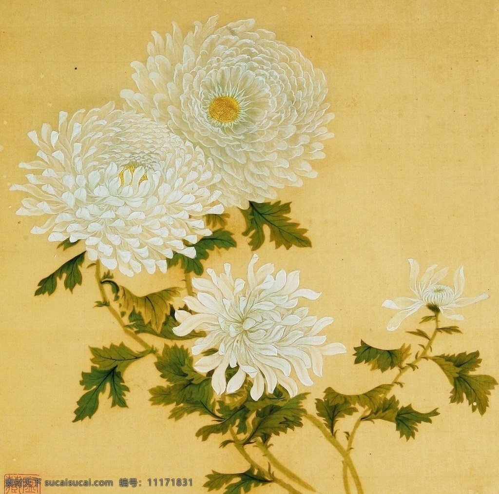 清 菊花 工笔 印章 国画 历代 名作 花鸟 山水 人物 绘画书法 文化艺术