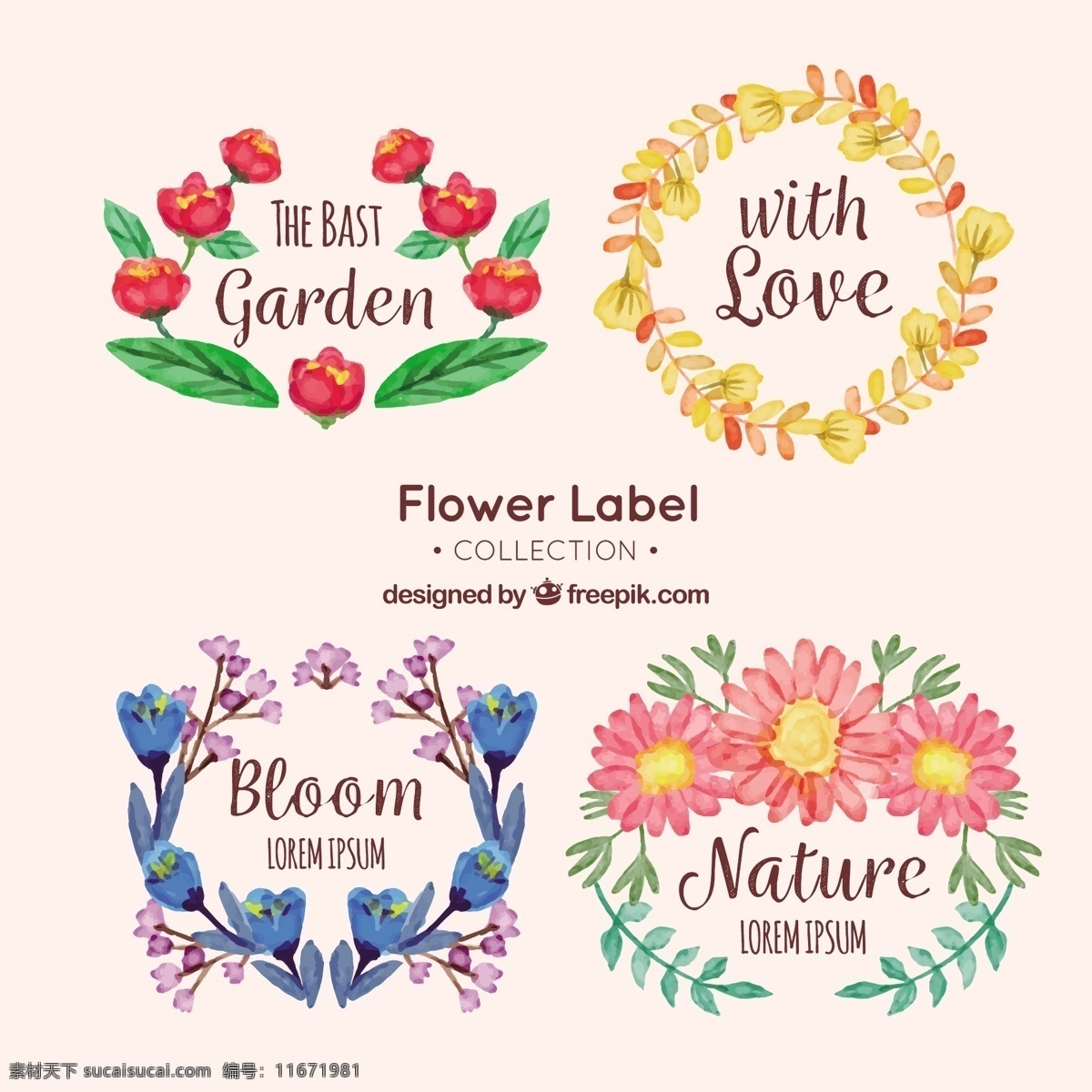 四 种 水彩 风格 花卉 标签 四种 水彩风格 花卉标签