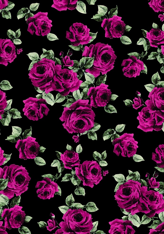 玫瑰花 紫红色 黑底 满版 手绘