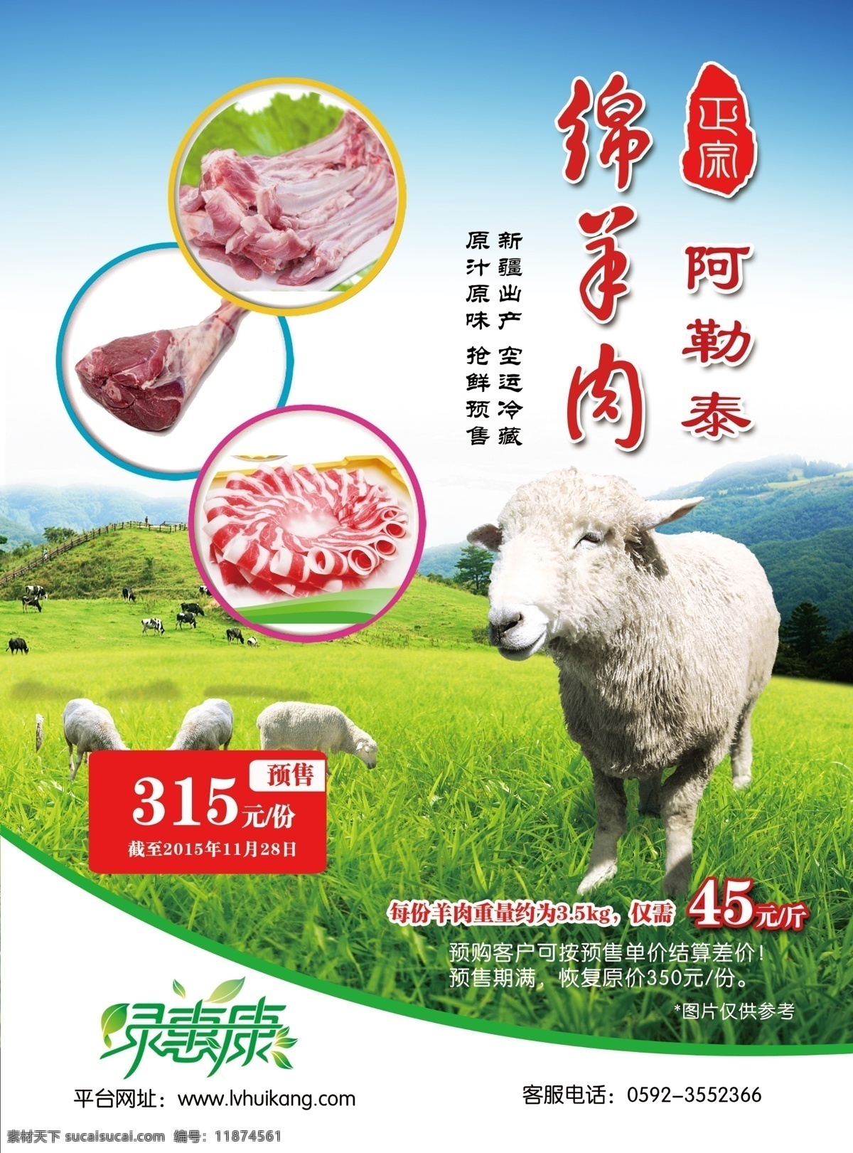 羊肉 绵羊 绵羊肉 羊肉宣传单 新疆羊肉 正宗羊肉 dm宣传单
