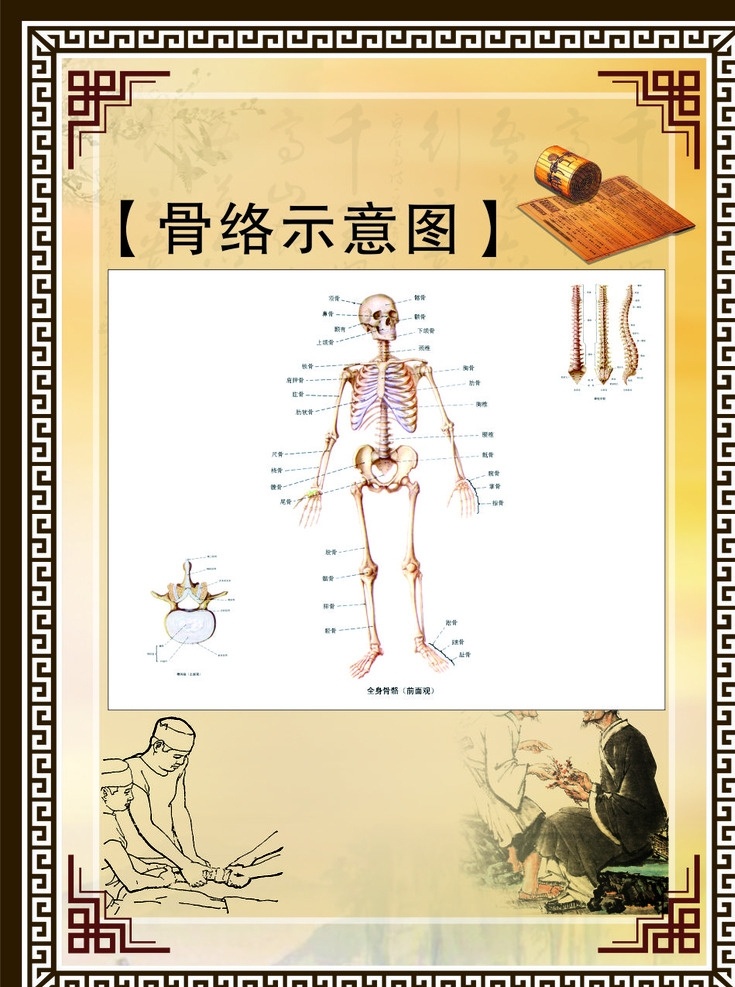 中医骨科 骨络示意图 中医文化 医院文化 企业文化 广告 宣传