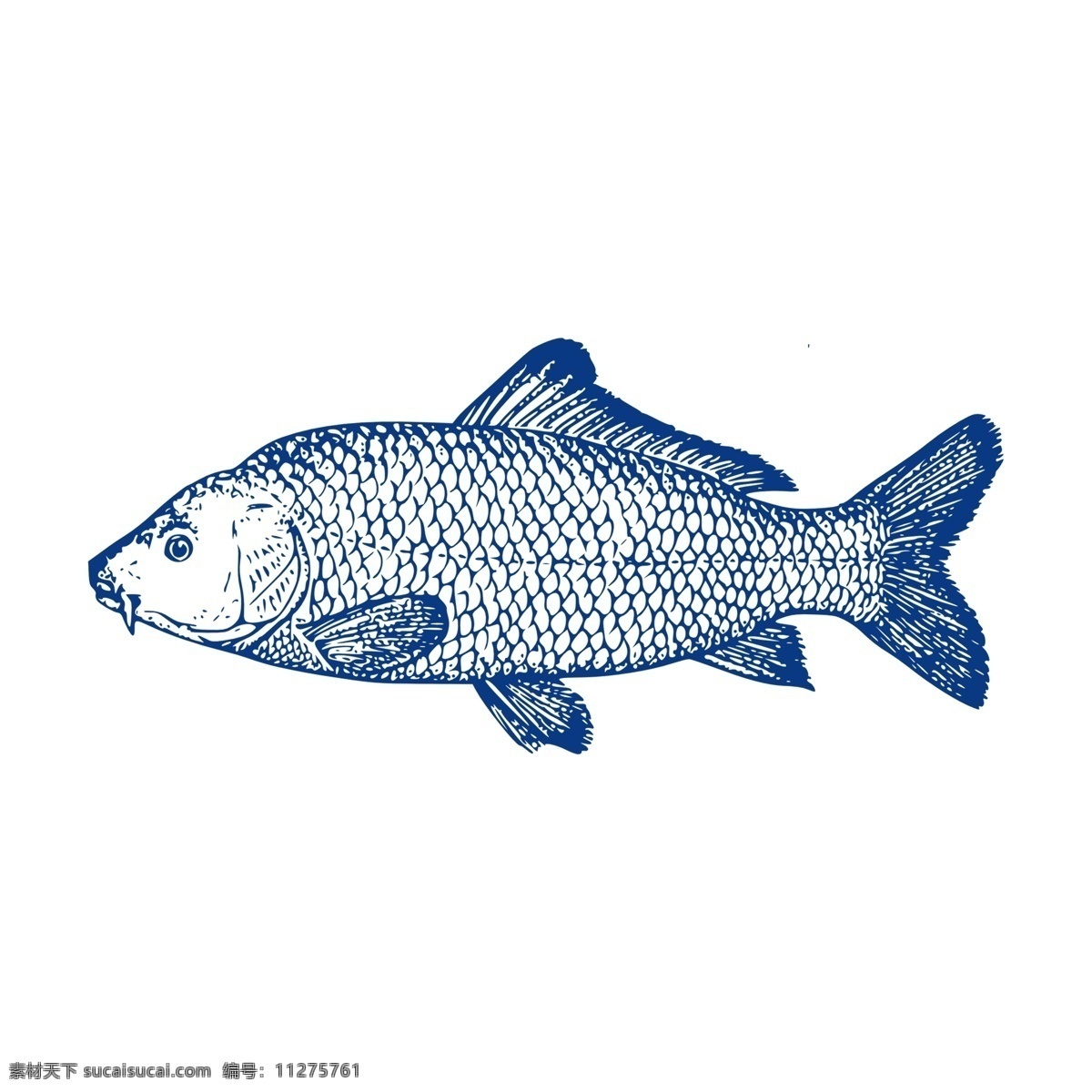 手绘 蓝色 鱼 动物 美食 美味 食物 png元素 免抠元素