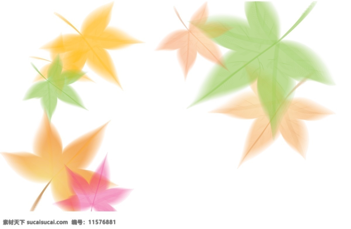 枫叶图片 喷绘 分层 枫叶 风景线稿