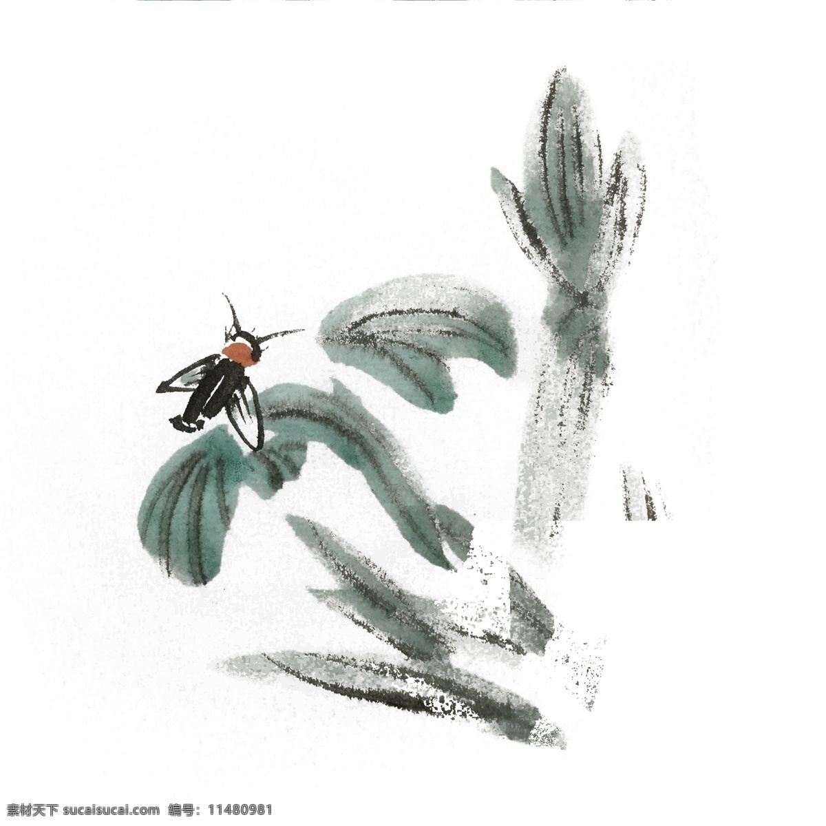 中国 风 水墨 昆虫 手绘 插画 中国风 动物 古风 水墨风 墨迹 夏季 彩色 春天 生动 花草 国风