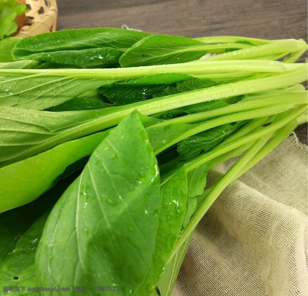 小菜心 水培菜心 青江菜 青菜 蔬菜 生物世界