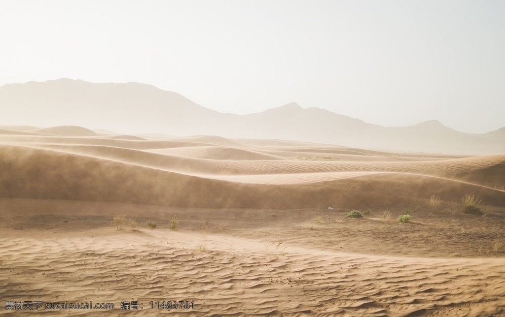 大荒漠 沙漠 荒漠 磅礴 沙尘 大片 自然景观 自然风景