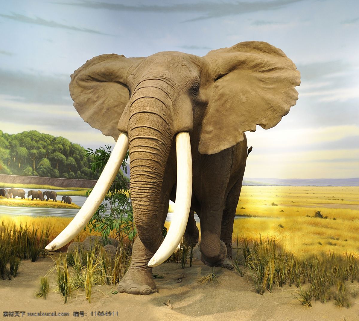 草原 上 大象 高清 非洲 非洲草原大象 肯尼亚风光 美丽风景 美景 风景摄影 美丽景色 黄色