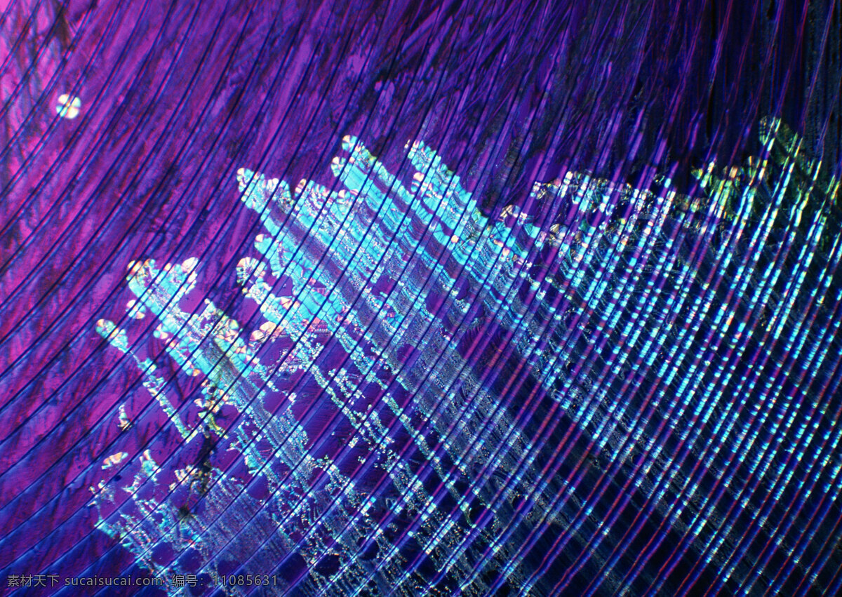 紫色纹理结晶 细胞结晶图片 紫色 纹理 结晶 微观世界 细胞 单元 结晶图片 蓝色