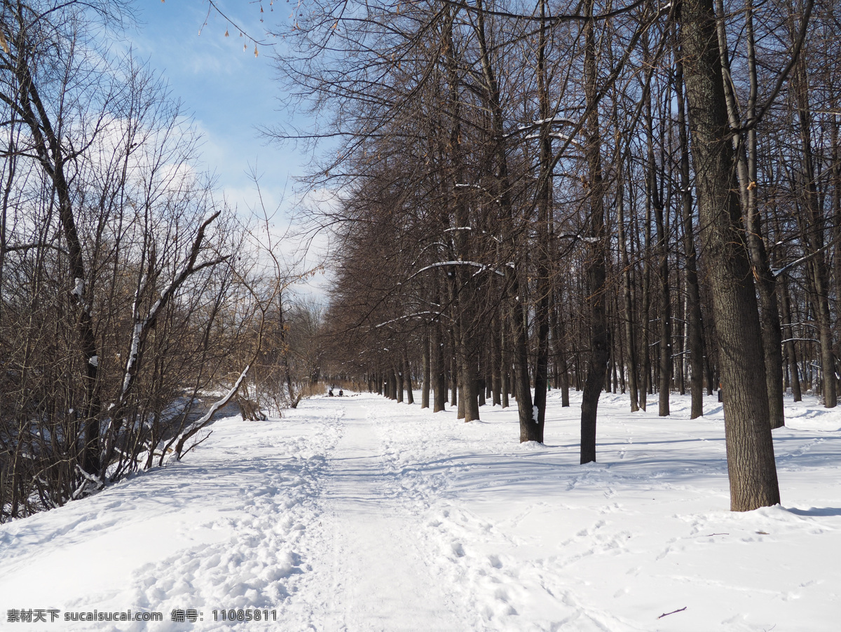 冬季树林雪景 冬天风景 美丽公园风景 树林雪景 道路风景 公园冬季风景 美丽雪景 雪地风景 风景摄影 自然风景 自然景观 黑色