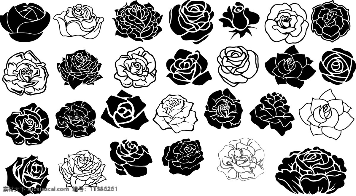 玫瑰花素材 玫瑰花 玫瑰 玫瑰矢量图 白色