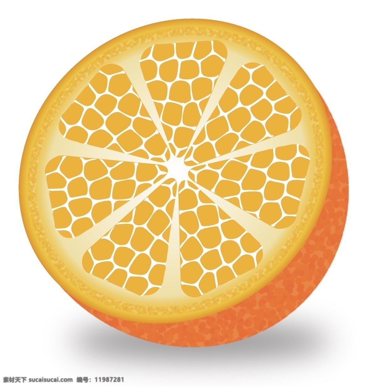 成熟 水果 金黄色 切开 半边 橙子 矢量 元素 成熟的水果 金黄色的橙子 柑 半边水果 半边橙子 手绘水果 手绘橙子 一半橙子 一边橙子 斜切的橙子 新鲜橙子