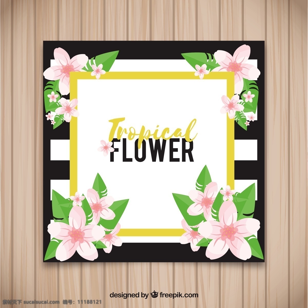 热带 花卉 典雅 名片 请柬 卡片 自然 植物 印刷 开花 美丽 热带花卉 花卉卡片 准备 异国情调