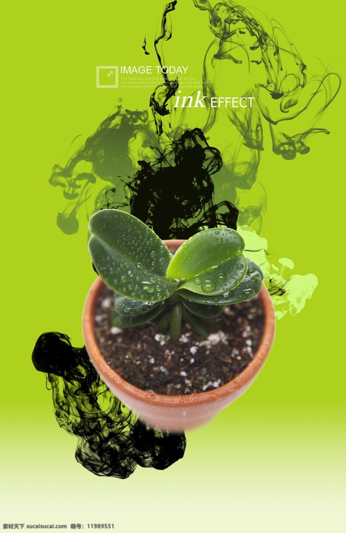植物盆景 时尚 时尚元素 烟雾 梦幻 炫彩 植物 盆景 绿色植物 广告设计模板 psd素材