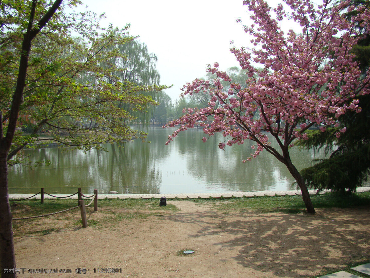 春天风景 春天美景 春景 自然风景 户外风景 河边春景 河边景色 绿荫 绿树 河水 自然景观