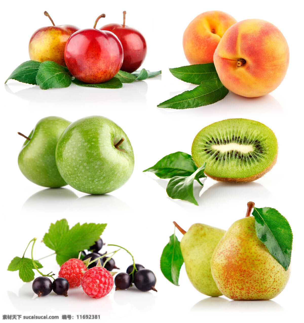 高清 水果 杏子 青苹果 猕猴桃 梨 水果摄影 水果素材 水果蔬菜 餐饮美食 白色