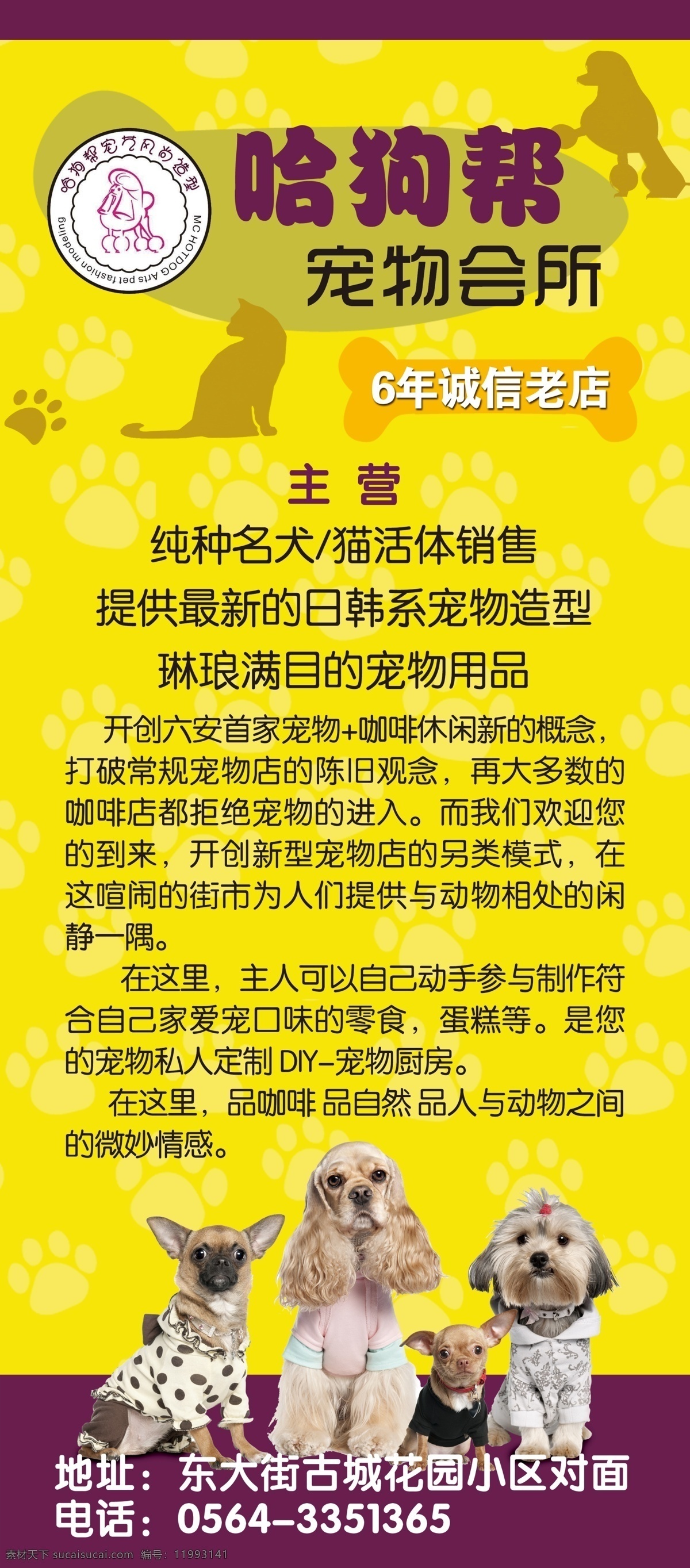 哈狗帮 宠物 狗 犬 宠物会所 商业广告