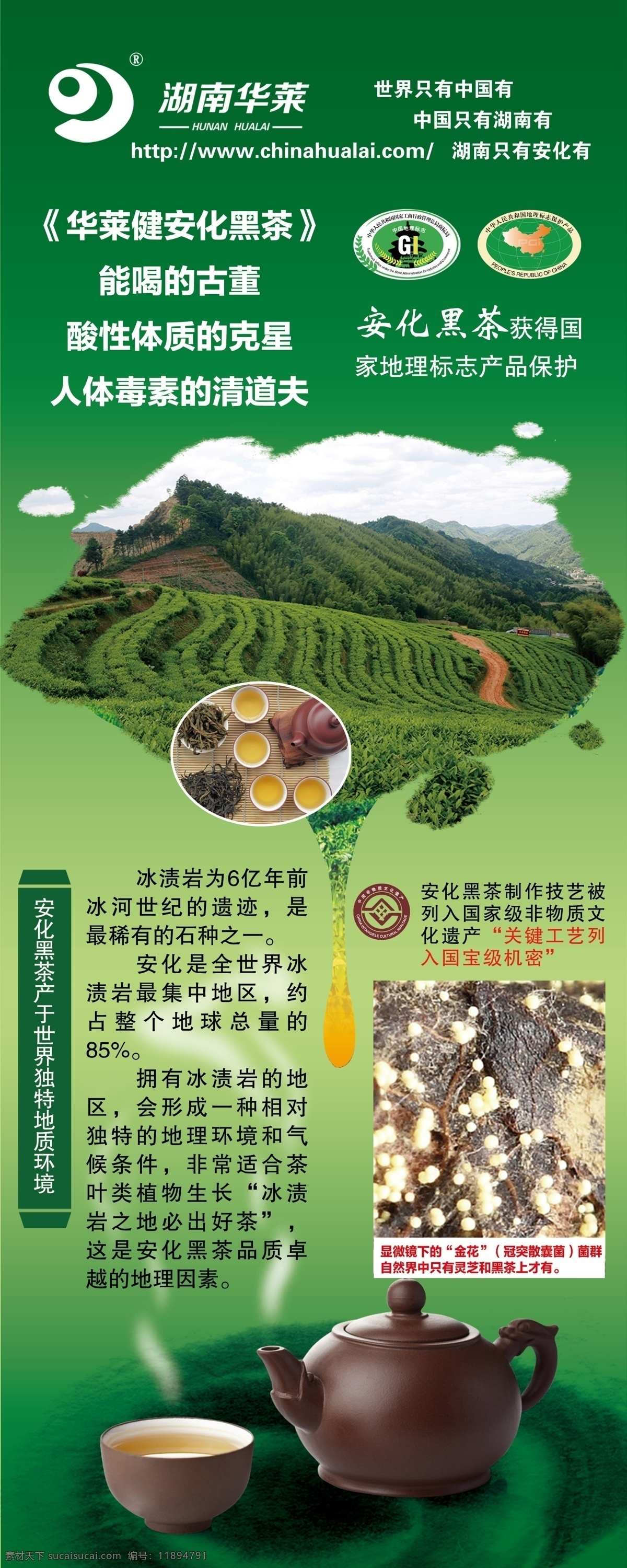 黑茶文化 安化黑茶 安化黑茶宣传 安化黑茶名片 黑茶手提袋 湖南安化黑茶 健康饮品 黑茶画册 黑茶展板 黑茶展架 安化黑茶海报 安化黑茶展板 安化黑茶挂画 安化黑茶展架 安化黑茶包装 安化黑茶广告 安化 黑茶装饰画 黑茶特产 安化品茗 安化黑茶特产 采茶 茶包装 黑茶茶园 新茶图 淘宝茶 分层