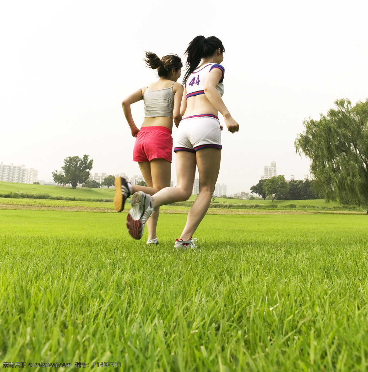 草地 跑步 晨跑 运动 女士 人物图库 其他人物