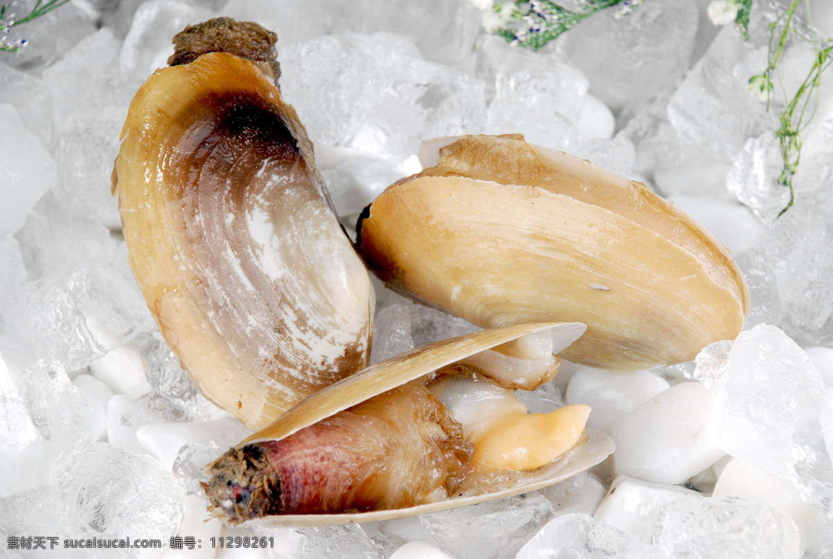 海鲜免费下载 餐饮美食 传统美食 火锅 鲜 蚌子 蒜蓉蒸 尖椒炒 psd源文件 餐饮素材