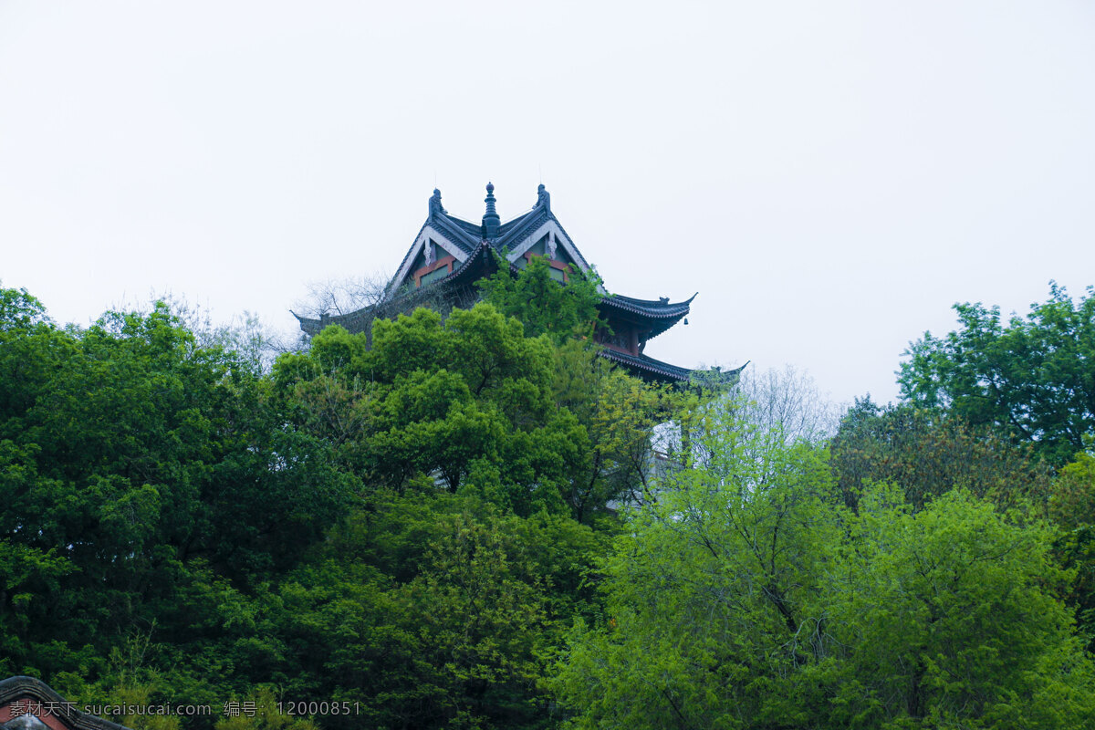 黄鹤楼 旅游 风景 武汉 绿植 旅游摄影 国内旅游