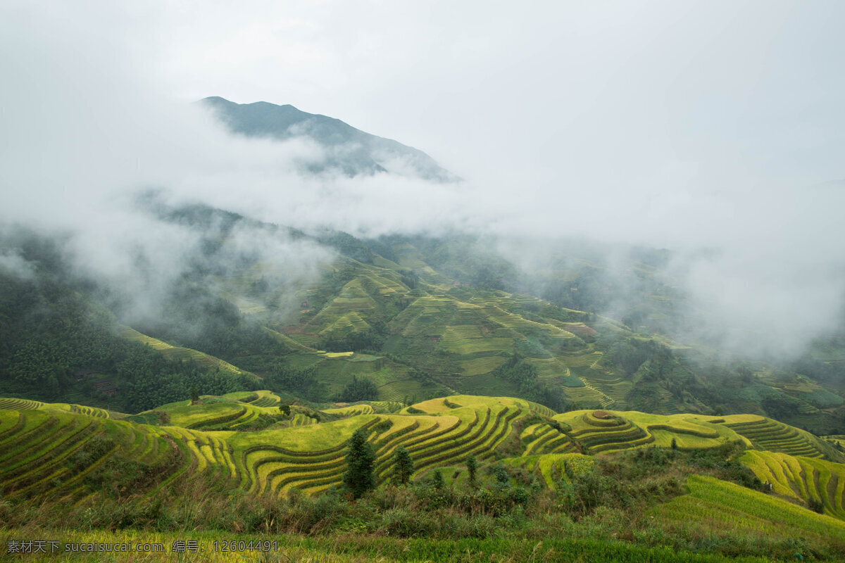 广西 桂林 龙脊梯田 风景