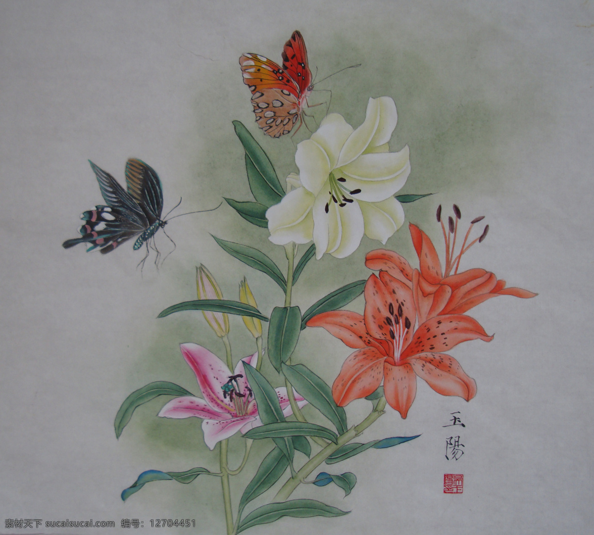 吴玉阳 百合花蝴蝶 工笔重彩画 工笔画 百合花 蝴蝶 百年好合 绘画书法 文化艺术