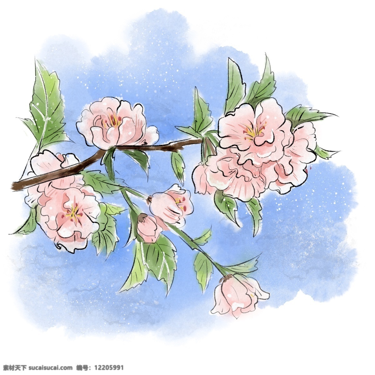 水彩 手绘 樱花 植物 花朵 桃花 春天 清明 谷雨 花瓣