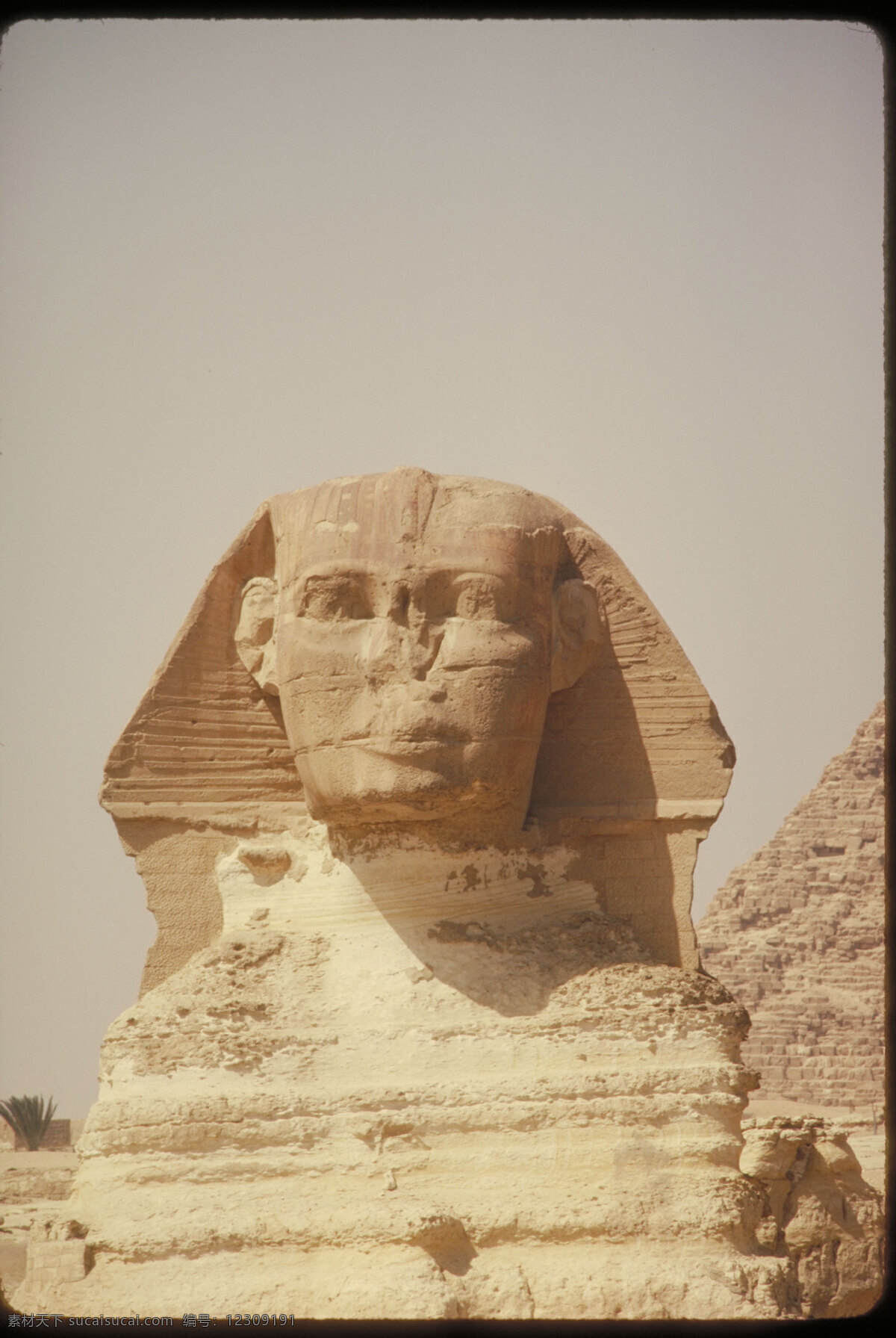 埃及 古建筑 遗址 古迹 狮身人面像 建筑园林