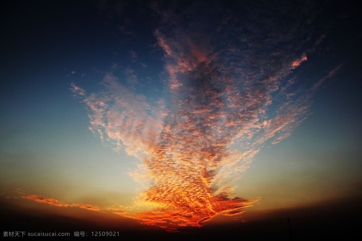 凤凰涅磐 自然现象 夕阳 火烧云 火凤凰 奇特的云 自然风景 自然景观