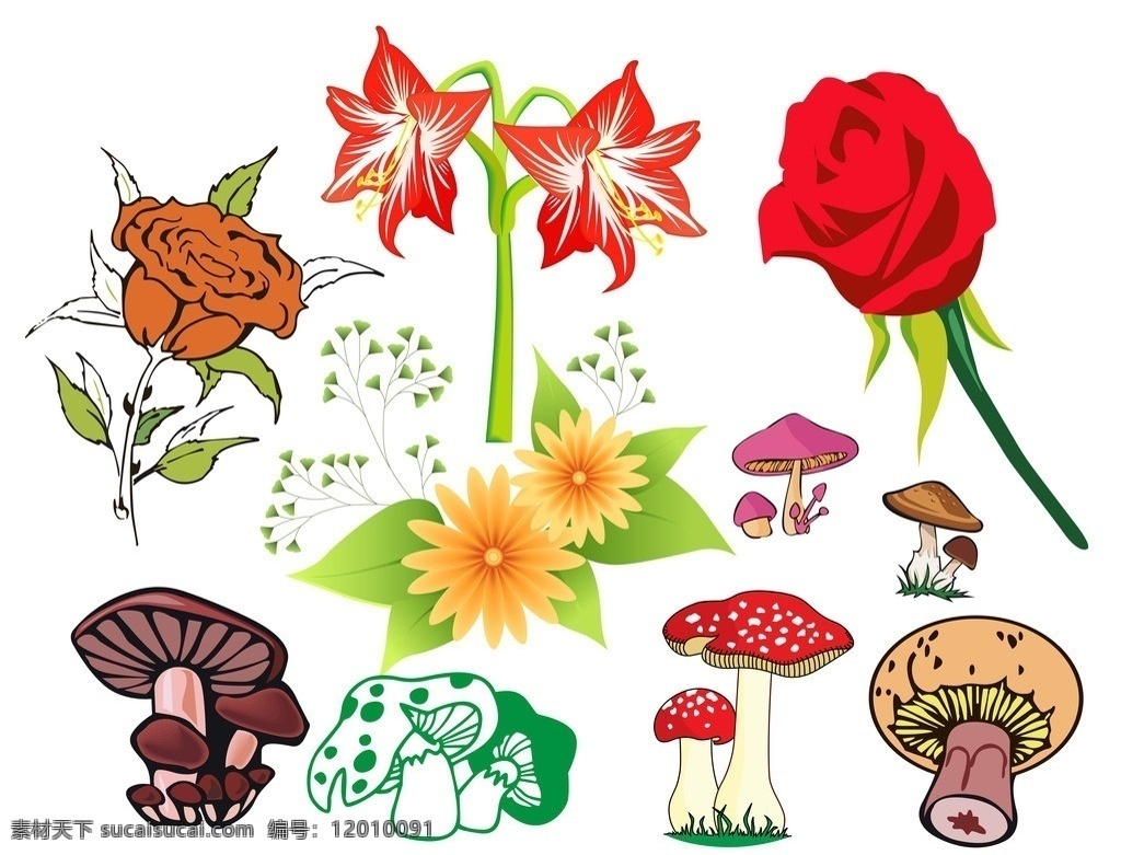 鲜花蘑菇 鲜花 野蘑菇 卡通 插图 插画 香菇 玫瑰花 水仙花 百合花 花草 生物世界 矢量