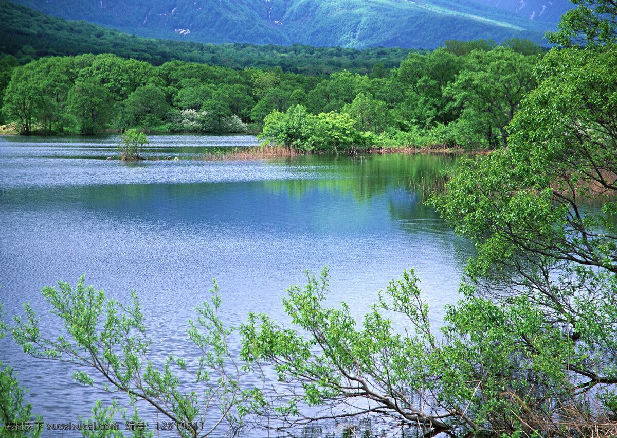 山水 剪影 湖 湖畔 湖水 森林 山 山水风景 山水剪影 摄影图库 山恋 树木 树林 自然景观 psd源文件