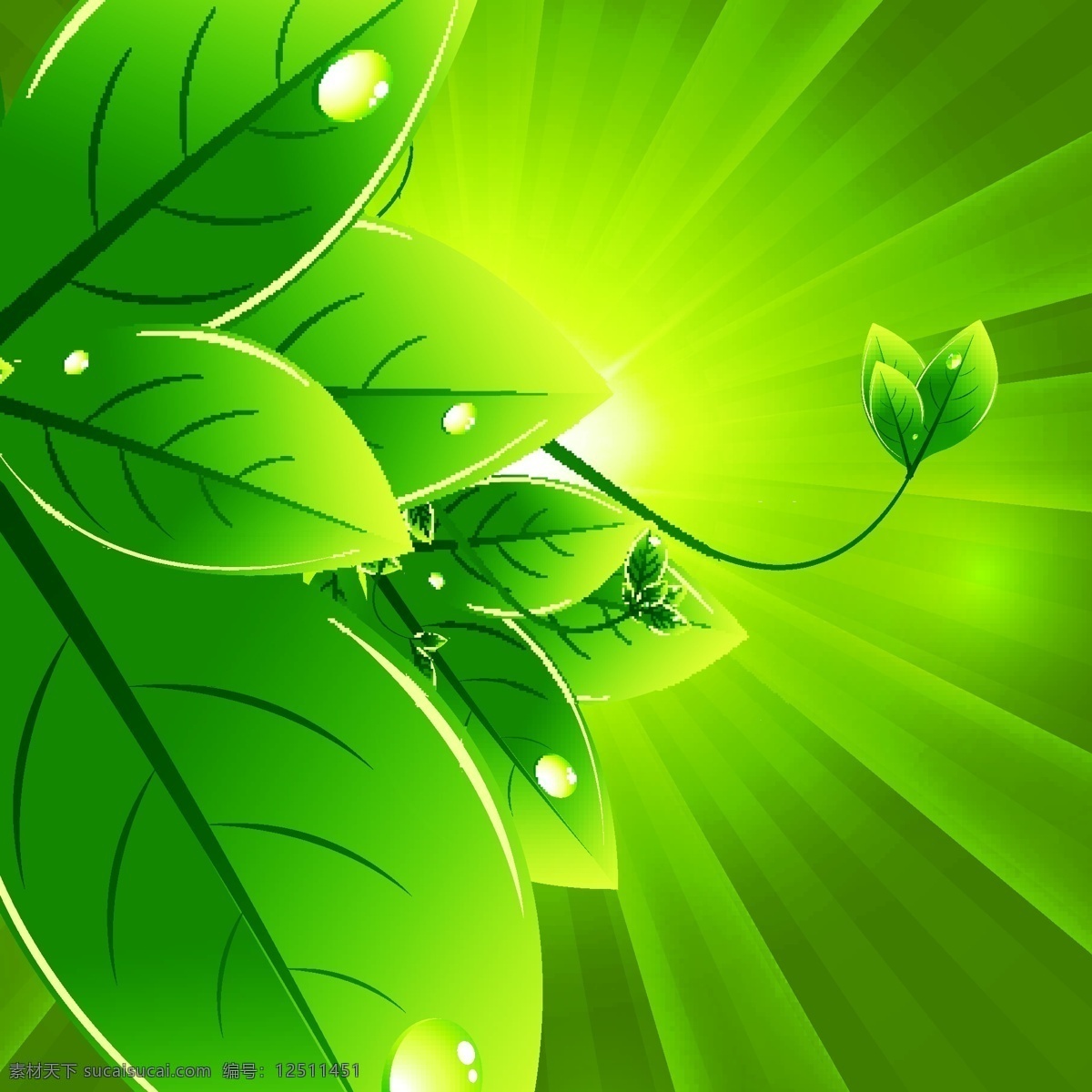 精美 绿色环保 主题 标签 矢量 绿色背景 绿叶 叶子 绿色植物图标 环保标志图标 生态环保 环境保护 生态环境 环保logo 按钮图标 标志图标 矢量素材