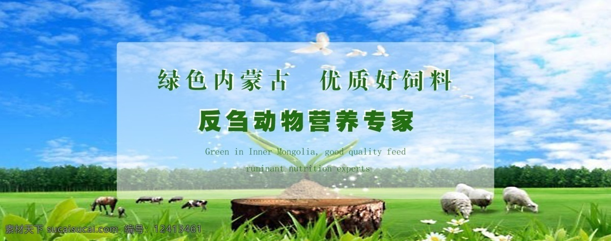 饲料 公司 网页 网站 首 页轮 播 图 饲料公司网站 首页轮播图 网站首页 banner