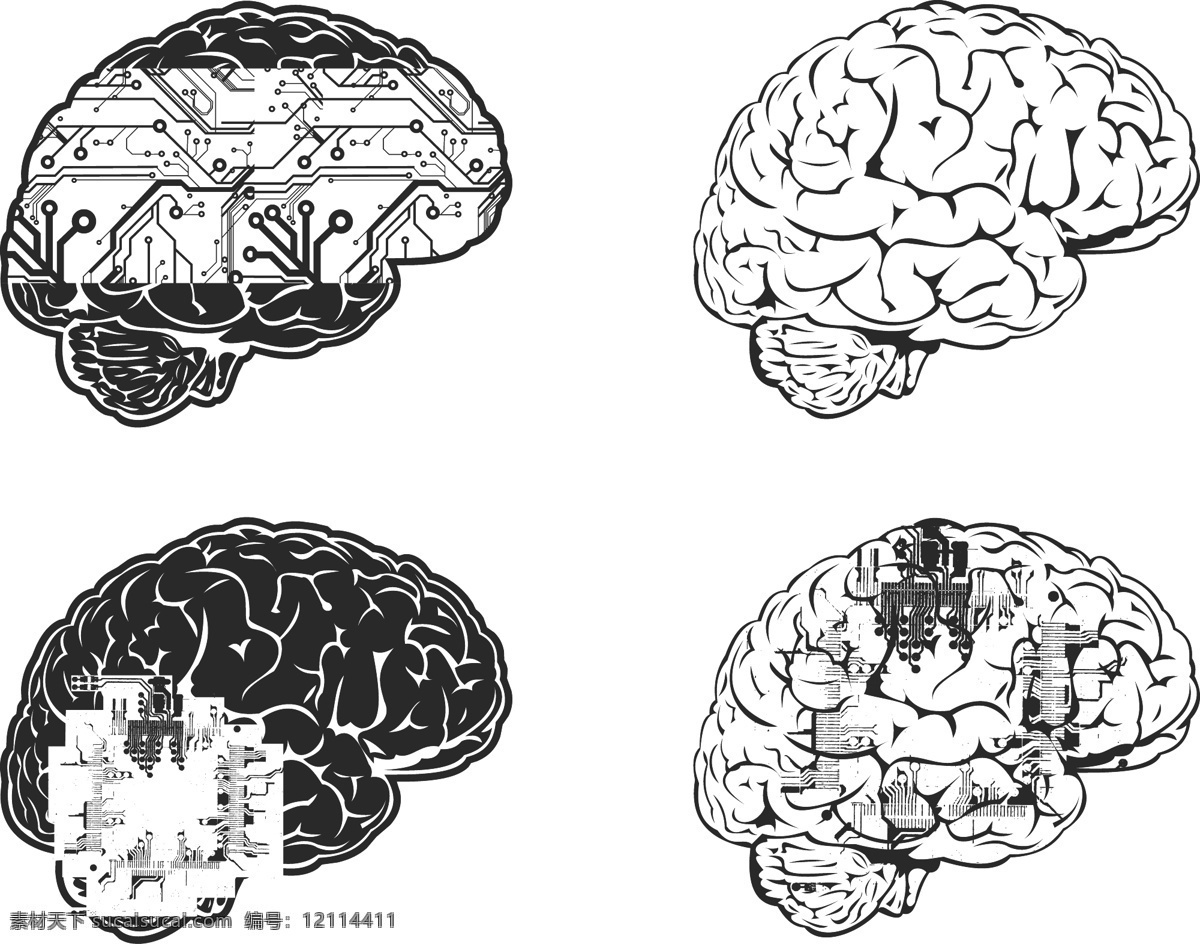 数字人脑 人脑 电路板 电路图 机器人大脑 矢量