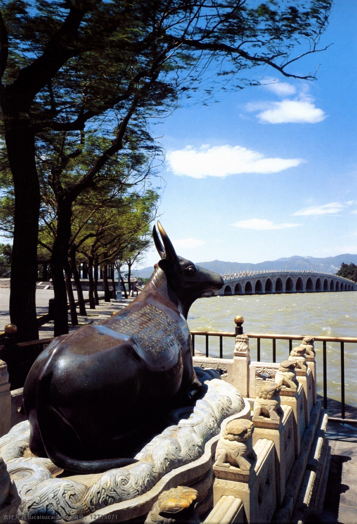 十七孔桥 东 铜 牛 北京颐和园 颐和园 风景 风景名胜 风景区 旅游风景 国内风景 中国风景 大桥 拱桥 桥梁 孔桥 湖水 园林风景 旅游摄影 国内旅游 摄影图库