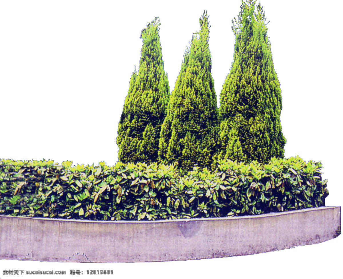119植物 松柏免费下载 松柏 园林植物 配景素材 园林 建筑装饰 设计素材 3d模型素材 室内场景模型