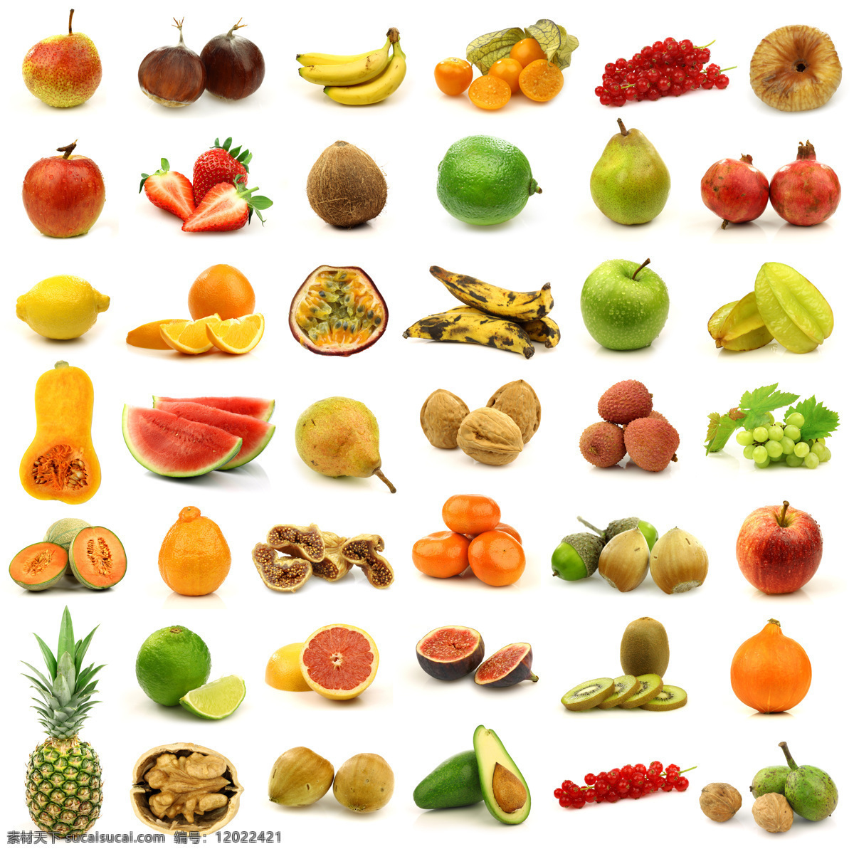 各种 水果 食物 合集 菠萝 木瓜 西瓜 西柚 苹果 香蕉 杨桃 橙子 水果图片 餐饮美食