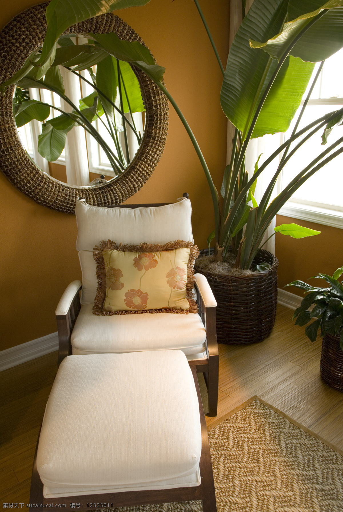 室内 沙发 床 绿植 现代风格 植物 窗户 靠垫 沙发床 舒适 地毯 豪华 高清图片 室内设计 环境家居