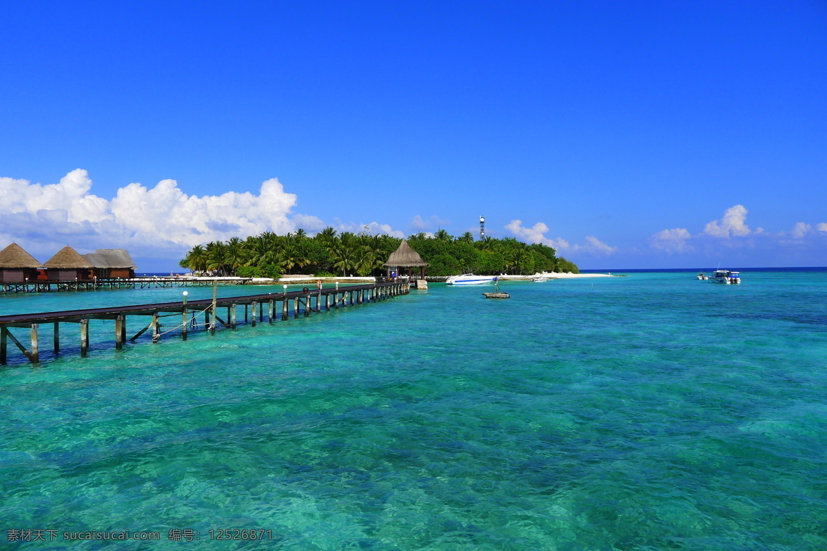 迷人小岛 马尔代夫 蓝色美人蕉 大海 清澈 蓝天 白云 栈桥 快艇 水上屋 椰子树 国外旅游 旅游摄影