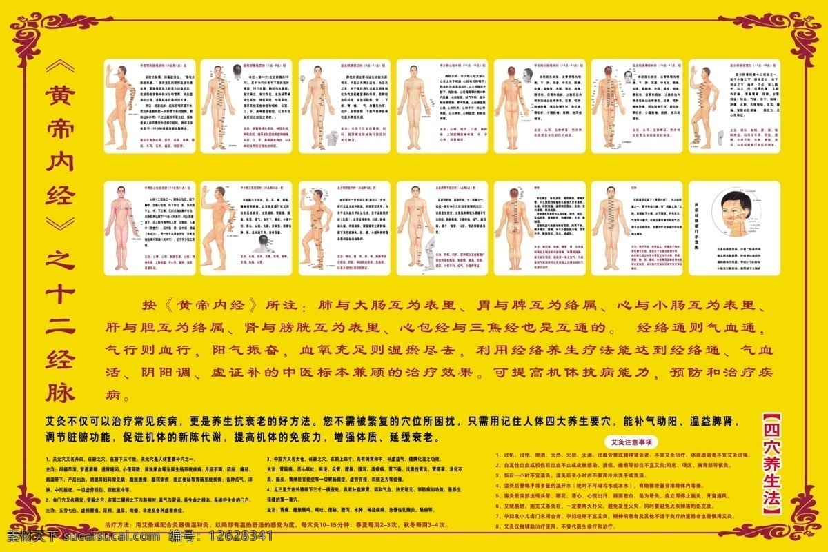 十二经脉写真 十二经脉 手太阳肺经 手阳明大肠经 足阳明胃经 足太阴脾经 手少阴心经 手太阳小肠经 足太阳膀胱经 足少阴肾经 手阙阴心包经 手少阳三焦经 足少阳胆经 足阙阴肝经 督脉 任脉 四穴养生法 写真海报 面部经络 psd源文件