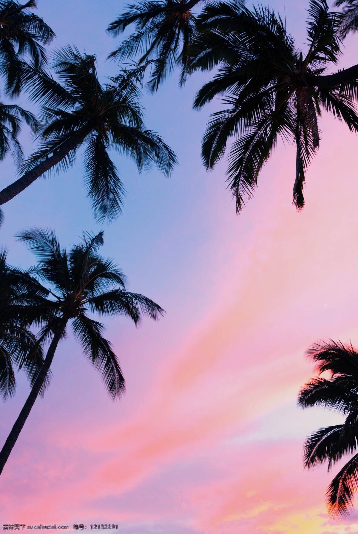 夏威夷图片 夏威夷 夏威夷风景 海滩 沙滩 棕榈树 海岛 海底 海 海浪 风景 海龟 南瓜 山 山脉 飞机舱 飞机窗 彩虹 菠萝 鸡蛋花 蜥蜴 小蜥蜴 车 汽车 国外美丽风光