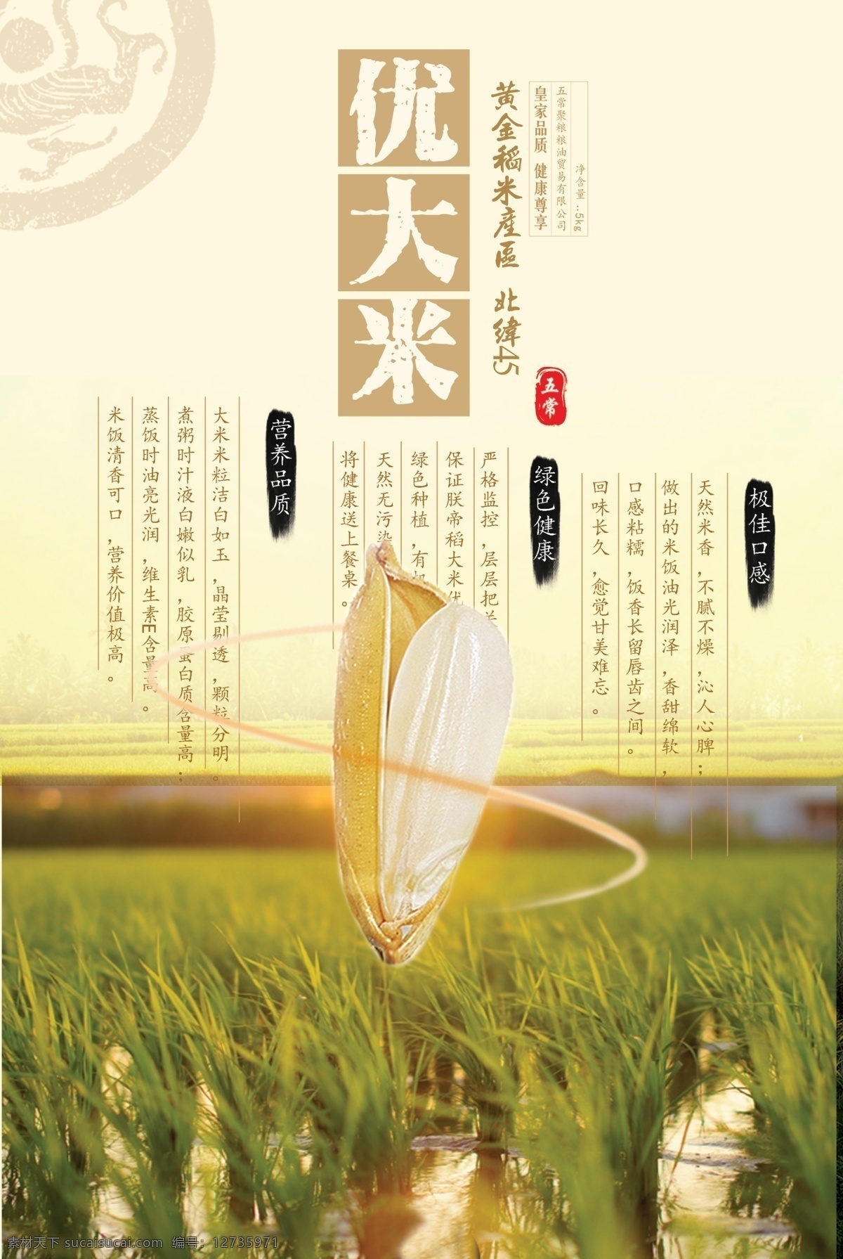 优质大米 优质 大米 东北 黄金 绿色 营养 健康 米粒 稻田 米香