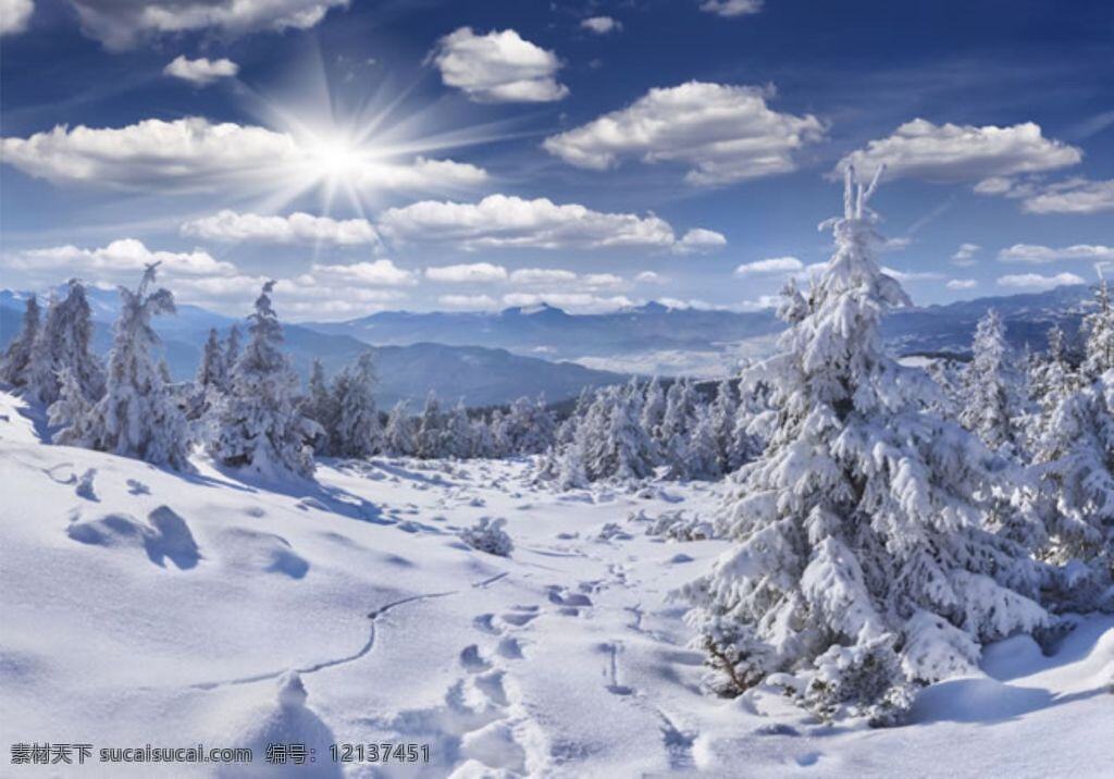 唯美冬季雪景 唯美 冬季 雪景 蓝色