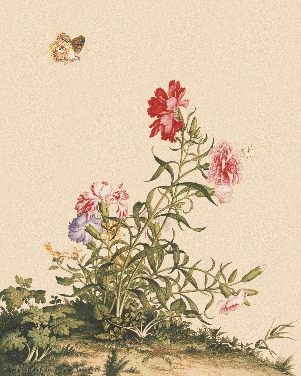 粉色小花 蝴蝶 花卉 小鸟 手绘 花鸟图 装饰画 高清 底纹边框 花边花纹