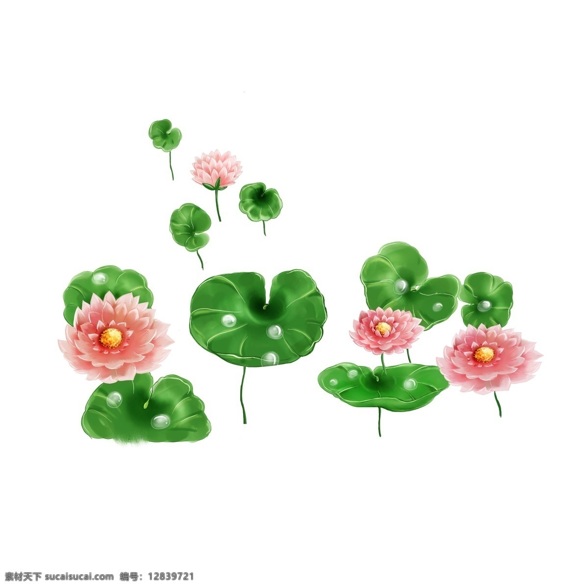 荷花荷叶元素 夏天 荷花 荷叶 元素
