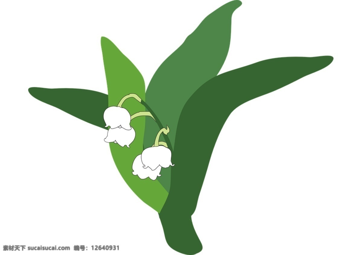 手绘 带 绿叶 铃 兰花 免 抠 透明 图形 铃兰花元素 海报 广告 铃兰花海报图