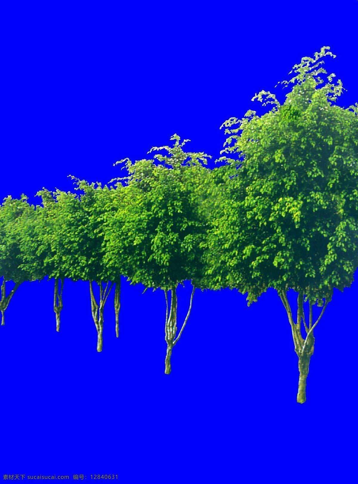 树丛 贴图素材 建筑装饰 设计素材 植物 蓝色