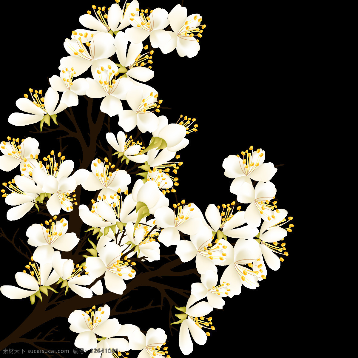 精美 水彩 花枝 图案 元素 边框素材 创意素材 花草图案 花朵图案 花树 花纹图案 时尚图案